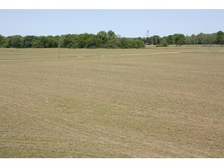 Property photo 11 - LAND AUCTION - 389.5+/- ACRES IN 11 TRACTS IN SULLIVAN COUNTY, INDIANA